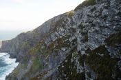266.jpg - 2011:10:07 11:10:03