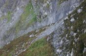 268.jpg - 2011:10:07 11:13:28