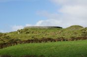 296.jpg - 2011:10:07 15:04:51