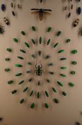 122.jpg - 2011:10:19 21:48:23