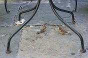 036.jpg - 2011:10:16 17:23:19