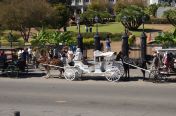 042.jpg - 2011:10:16 18:26:57