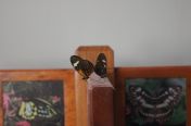 127.jpg - 2011:10:19 21:57:04