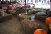 269.jpg - 2011:10:23 20:17:51