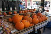 273.jpg - 2011:10:23 20:20:09