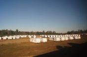 14.jpg - 2011:10:25 13:57:57