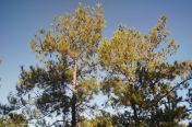 17.jpg - 2011:10:25 14:10:07