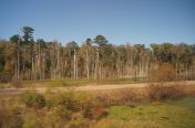 25.jpg - 2011:10:25 16:25:34