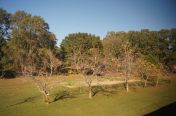 61.jpg - 2011:10:25 20:40:41