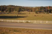 70.jpg - 2011:10:25 21:01:19