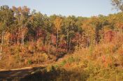 73.jpg - 2011:10:25 21:24:56