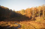 74.jpg - 2011:10:25 21:28:32