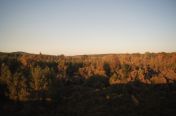 76.jpg - 2011:10:25 22:04:56