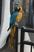 076.jpg - 2011:10:26 22:51:52