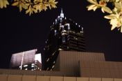 113.jpg - 2011:10:28 00:01:01