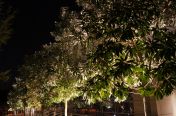 115.jpg - 2011:10:28 00:03:43