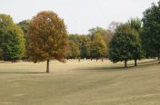 124.jpg - 2011:10:28 16:40:03
