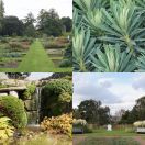 2011-09-16<br/>
<b>Kew Gardens</b><br/>
(Order Beds, Grasses, Economic Botany.)

