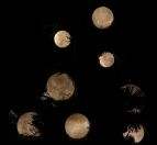 moon-baubles-on-tree.jpg - 2022:12:05 18:35:21