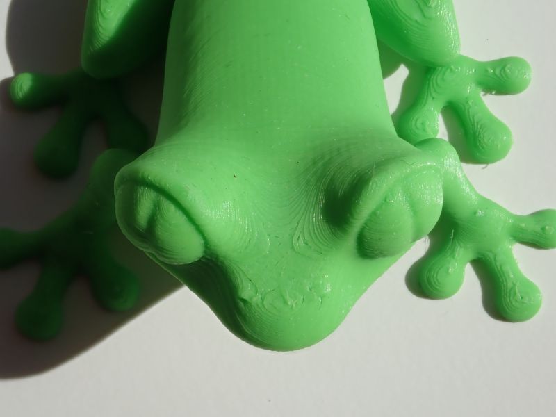 Viewing 3d-printing→miniatures→treefrog→tree-frog-top