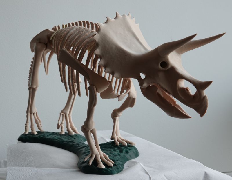 Viewing 3d-printing→miniatures→triceratops→triceratops-front