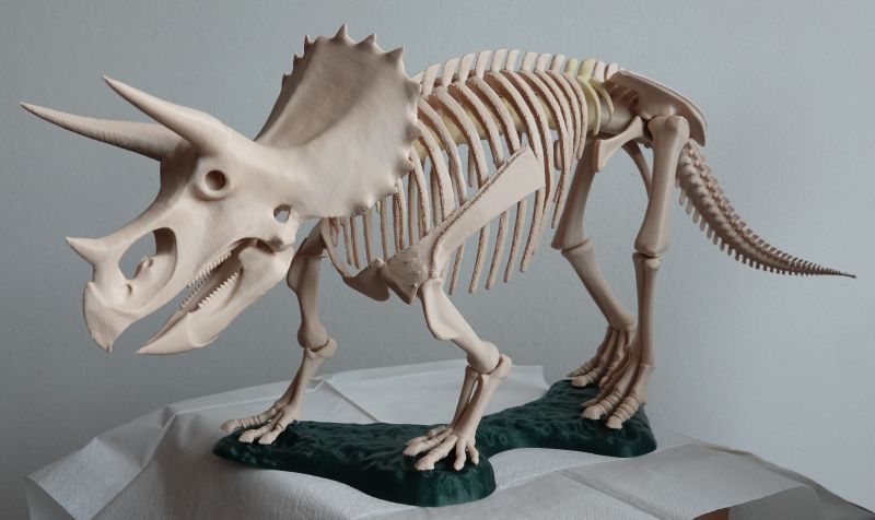 Viewing 3d-printing→miniatures→triceratops→triceratops