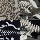 Plesiosaur 3D Puzzle
