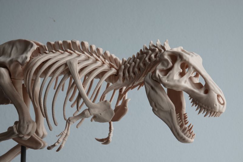 Viewing 3d-printing→miniatures→tyrannosaurus-rex-skeleton→tyrannosaurus-rex-head
