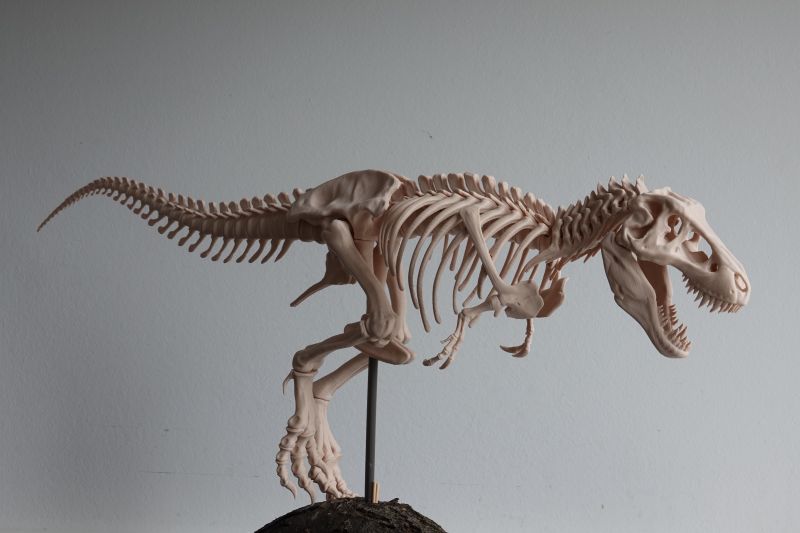 Viewing 3d-printing→miniatures→tyrannosaurus-rex-skeleton→tyrannosaurus-rex-skeleton