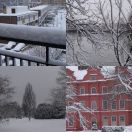 2009-02-02<br/>
<b>Snow at Kew</b>
