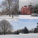 2013-01-21<br/>
<b>Kew Gardens (snow)</b>
