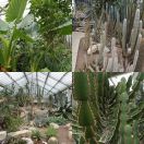 2013-03-22<br/>
<b>Kew Gardens (ultra-wide-angle lens)</b>
