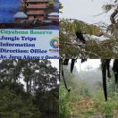 2014-05-05 - 2014-05-07<br/>
<b>Cuyabeno Wildlife Reserve, Ecuador</b>
