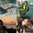 2016-12-19 - 2016-12-20<br/>
<b>Parque nacional Manuel Antonio, Costa Rica</b>
