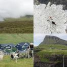 2021-08-04<br/>
<b>Gásadalur, Bøsdalafossur; Faroes</b>
