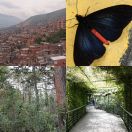 2022-07-24<br/>
<b>Medellin, Colombia</b>
