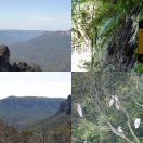 2023-10-03<br/>
<b>Three Sisters, Blue Mountains, NSW</b>
