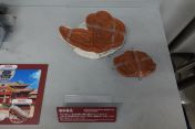 088.jpg - 2024:09:01 04:20:02