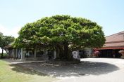 098.jpg - 2024:09:01 05:05:17