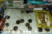 168.jpg - 2024:09:01 09:13:05