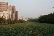 06.jpg - 2024:09:07 08:55:40