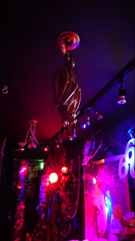 Viewing photos→2024→2024-09-12→62