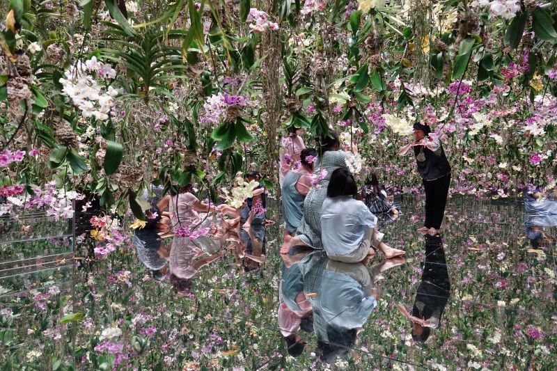 Viewing photos→2024→2024-09-17→024