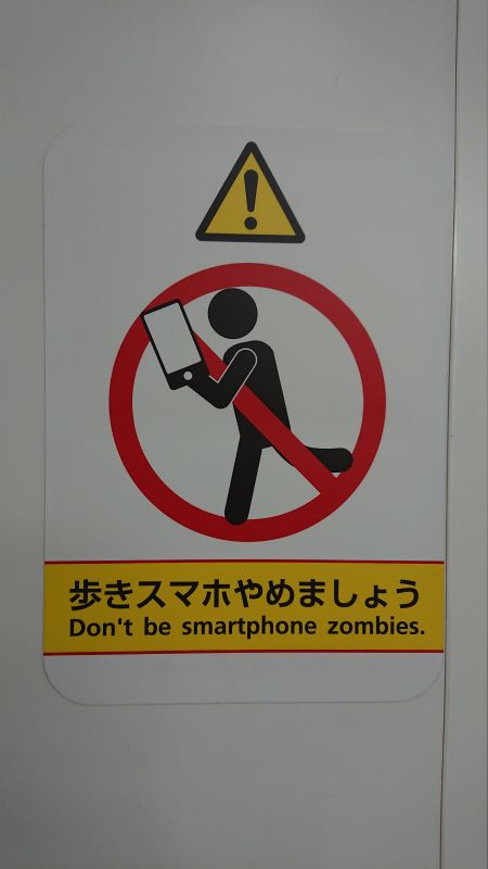 Viewing photos→2024→2024-09-17→028