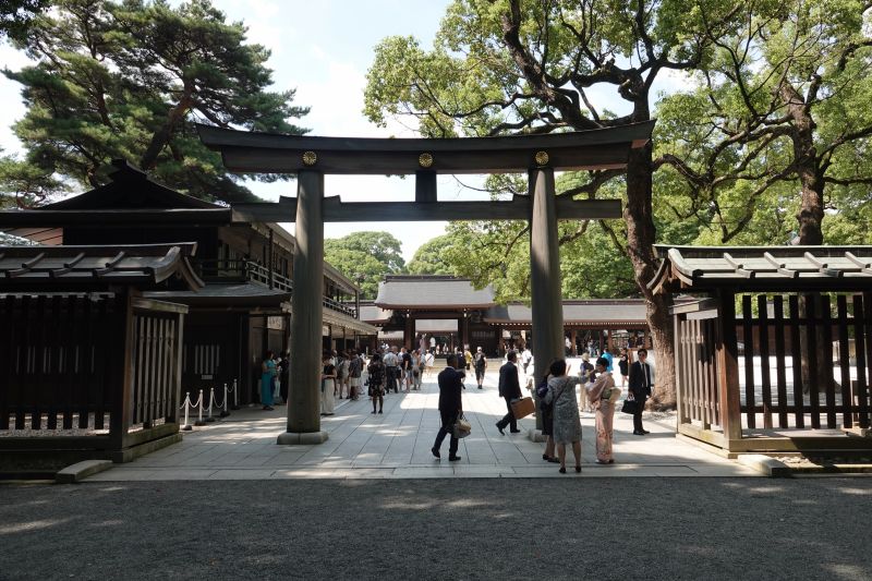 Viewing photos→2024→2024-09-17→033