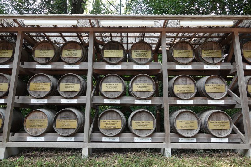 Viewing photos→2024→2024-09-17→035