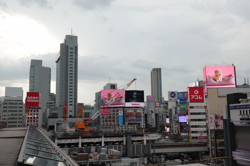 Viewing photos→2024→2024-09-17→044