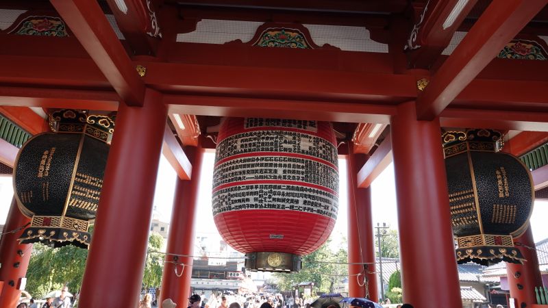 Viewing photos→2024→2024-09-17→069