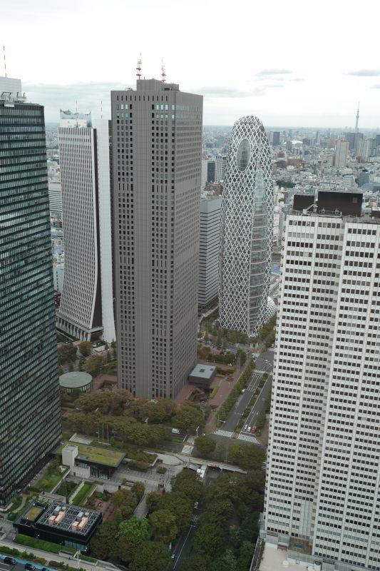 Viewing photos→2024→2024-09-17→084