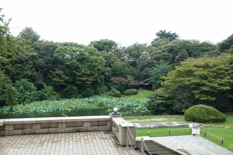 Viewing photos→2024→2024-09-17→105